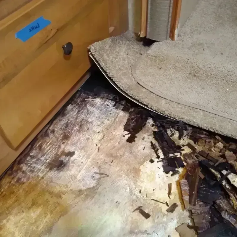 Best Wood Floor Water Damage Service in South Deerfield, MA